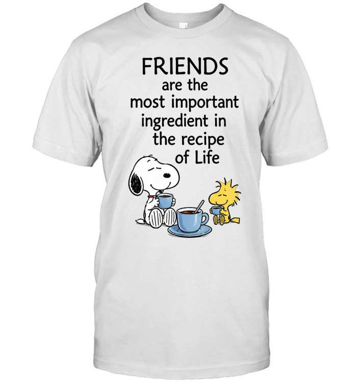 Friends Are The Most Important Ingredient In The Recipe Of Life Unisex T-Shirt