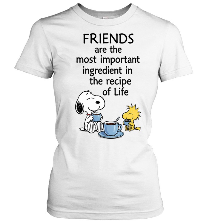 Friends Are The Most Important Ingredient In The Recipe Of Life Women T-Shirt