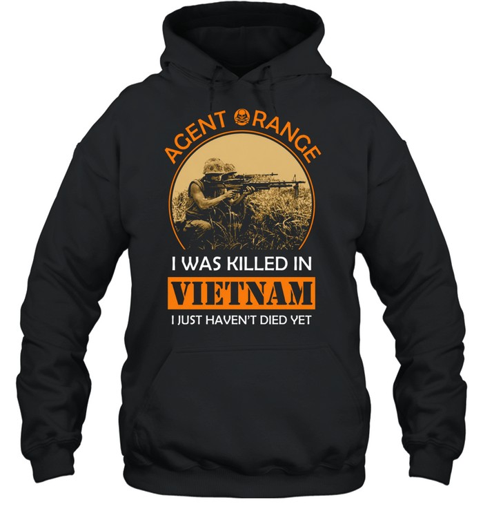 Agent Orange I Was Killed In Vietnam I Just Haven't Died Yet Hoodie