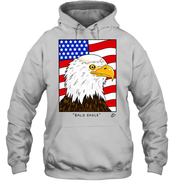 Bald Eagle funny pun bird patriotic humor Hoodie